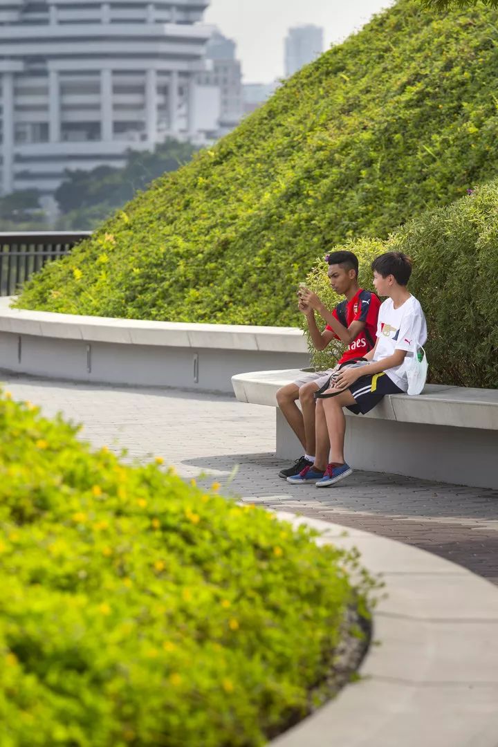 海绵城市建设的典范 | 因地制宜，打造可持续发展的城市环境-35