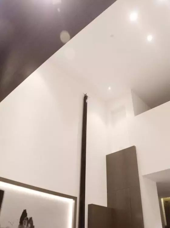 留白-- 汪拓的东山之梦-16