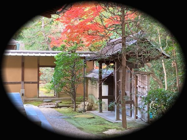 对龙山庄庭园丨日本京都丨七代目小川治兵衛-68