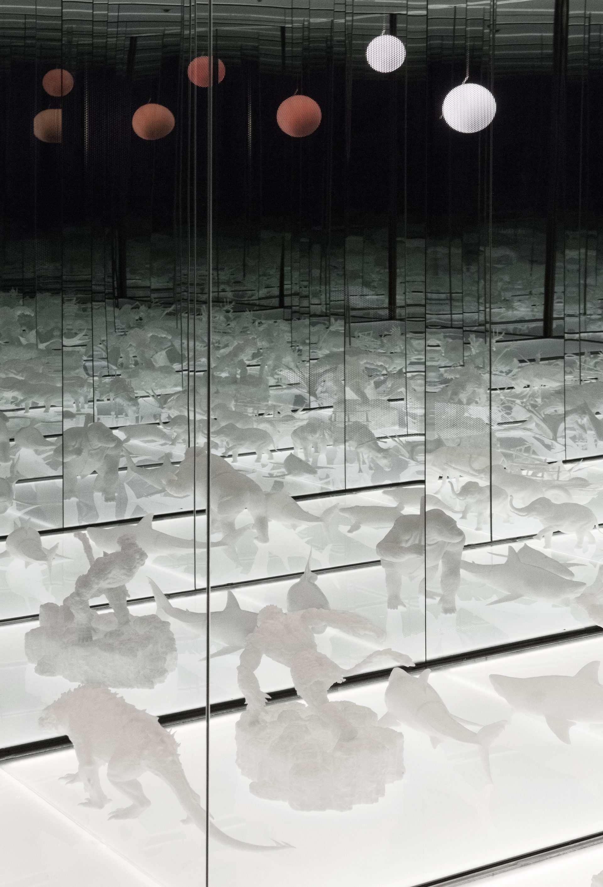 DEXTER STUDIOS WGNB-0