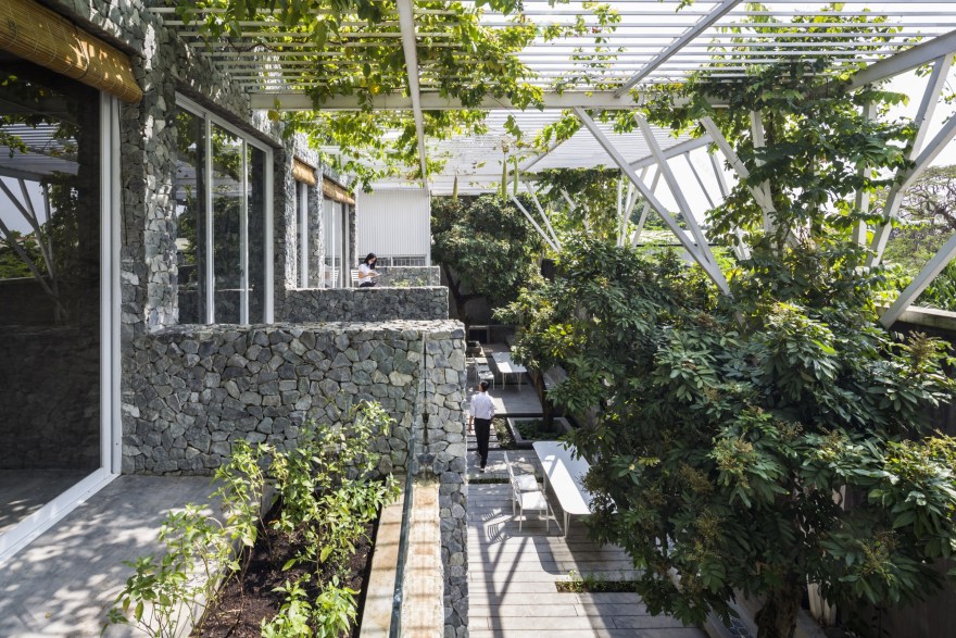 vegetable trellis-27