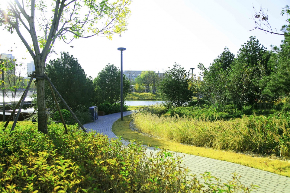 胶梦水韵(胶州三里河公园中央商务区段1标段)-83