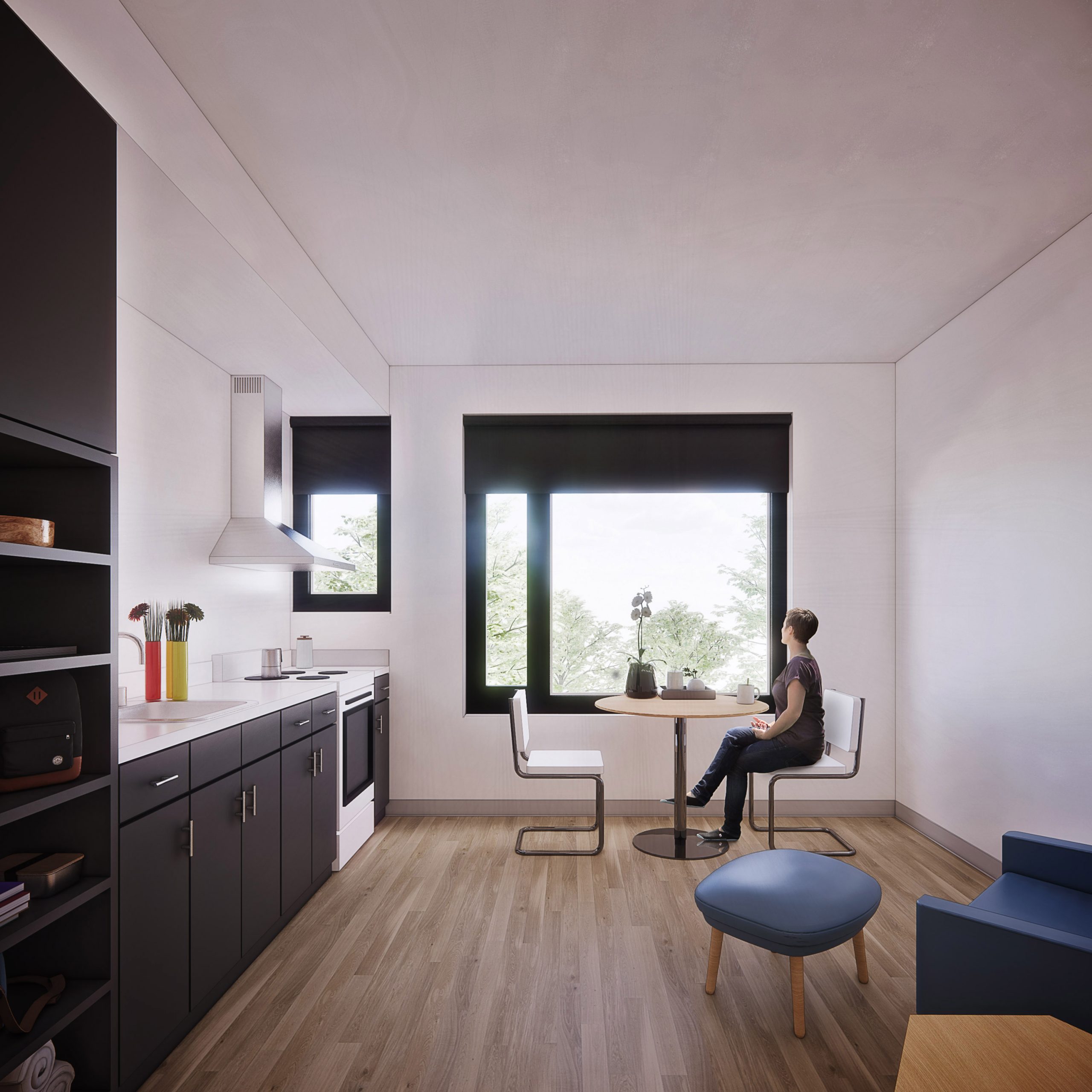 Hamilton Passive House Modular Housing - Montgomery Sisam-2