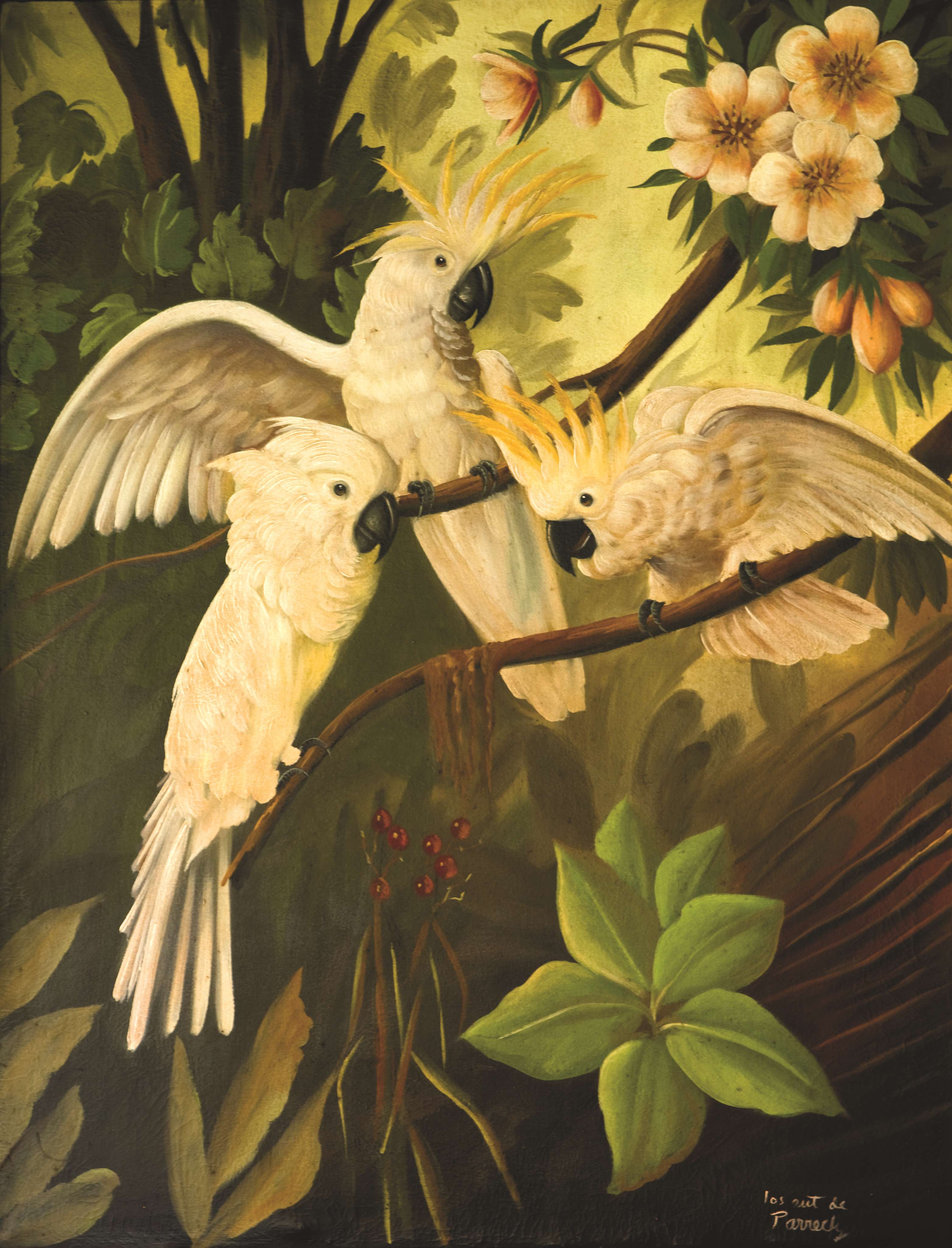 墨西哥Case de Sierra酒店-59