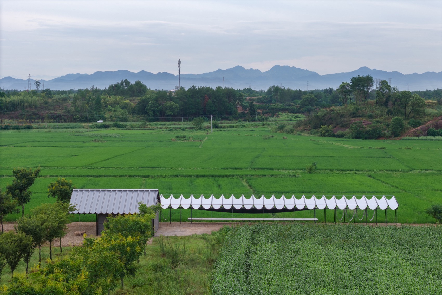大地长桌丨中国衢州丨梓集fabersociety-14