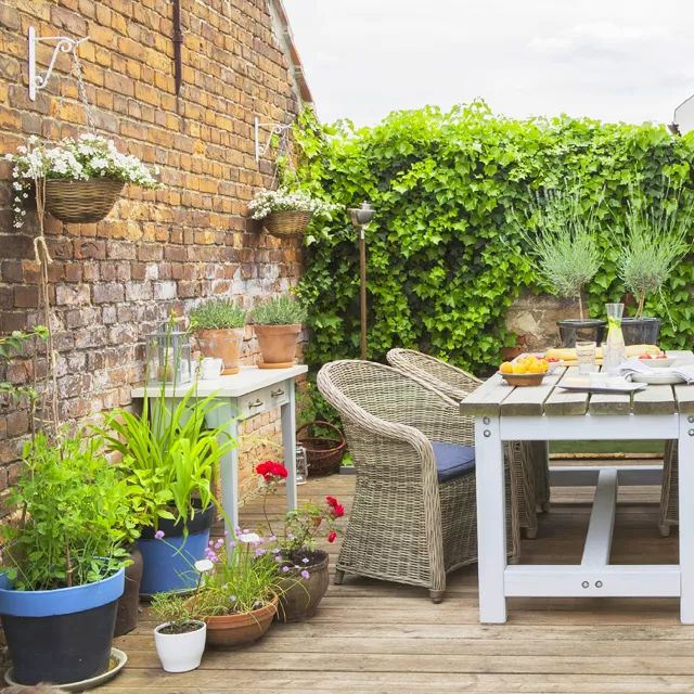 南方小城中的田园生活-22