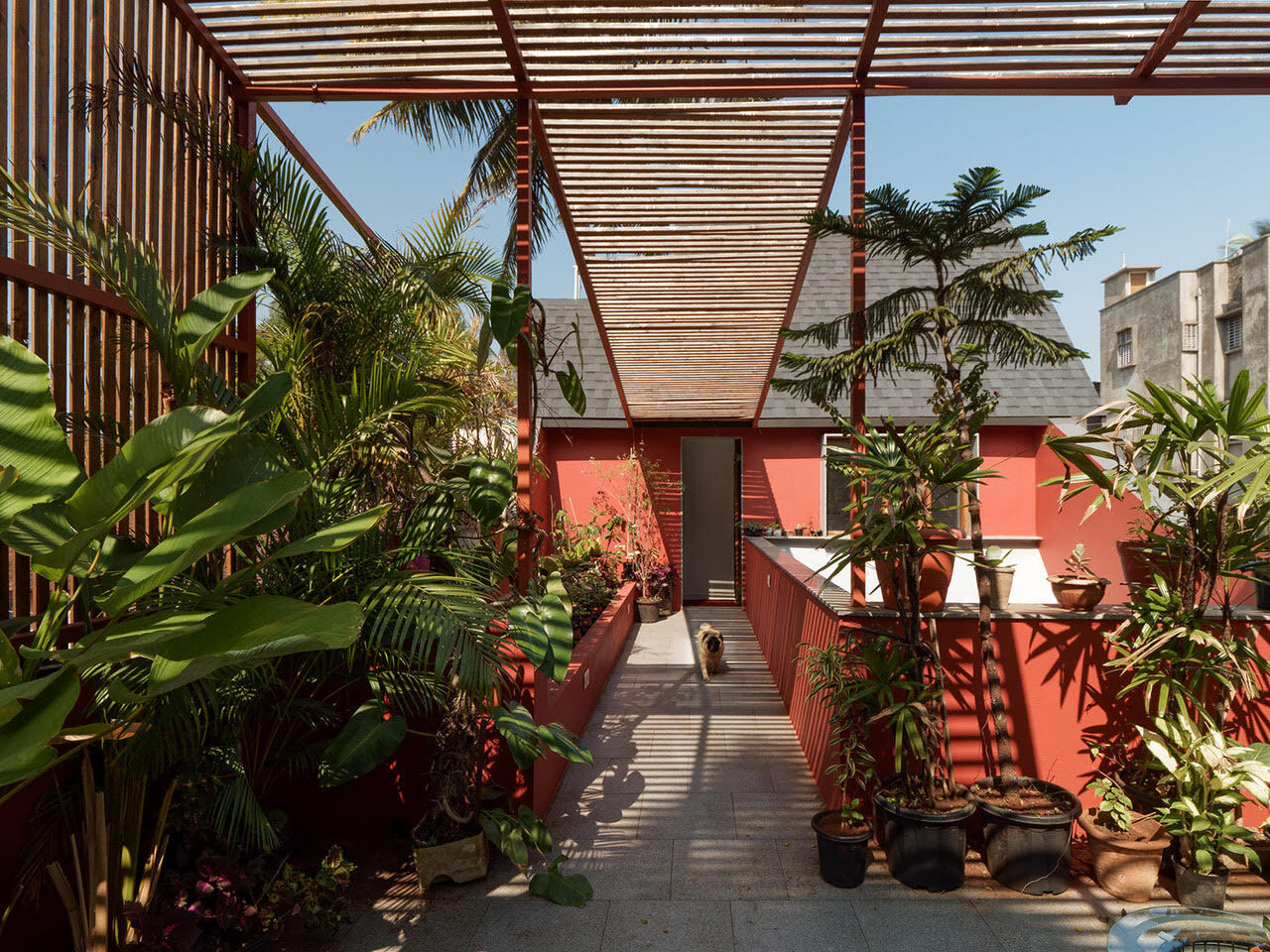 印度“不同屋顶”住宅丨RC Architects India-17