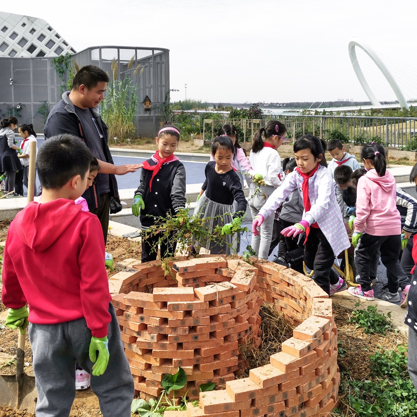 南京志远外语学校天空之园丨中国南京丨南京林业大学风景园林学院团队-15
