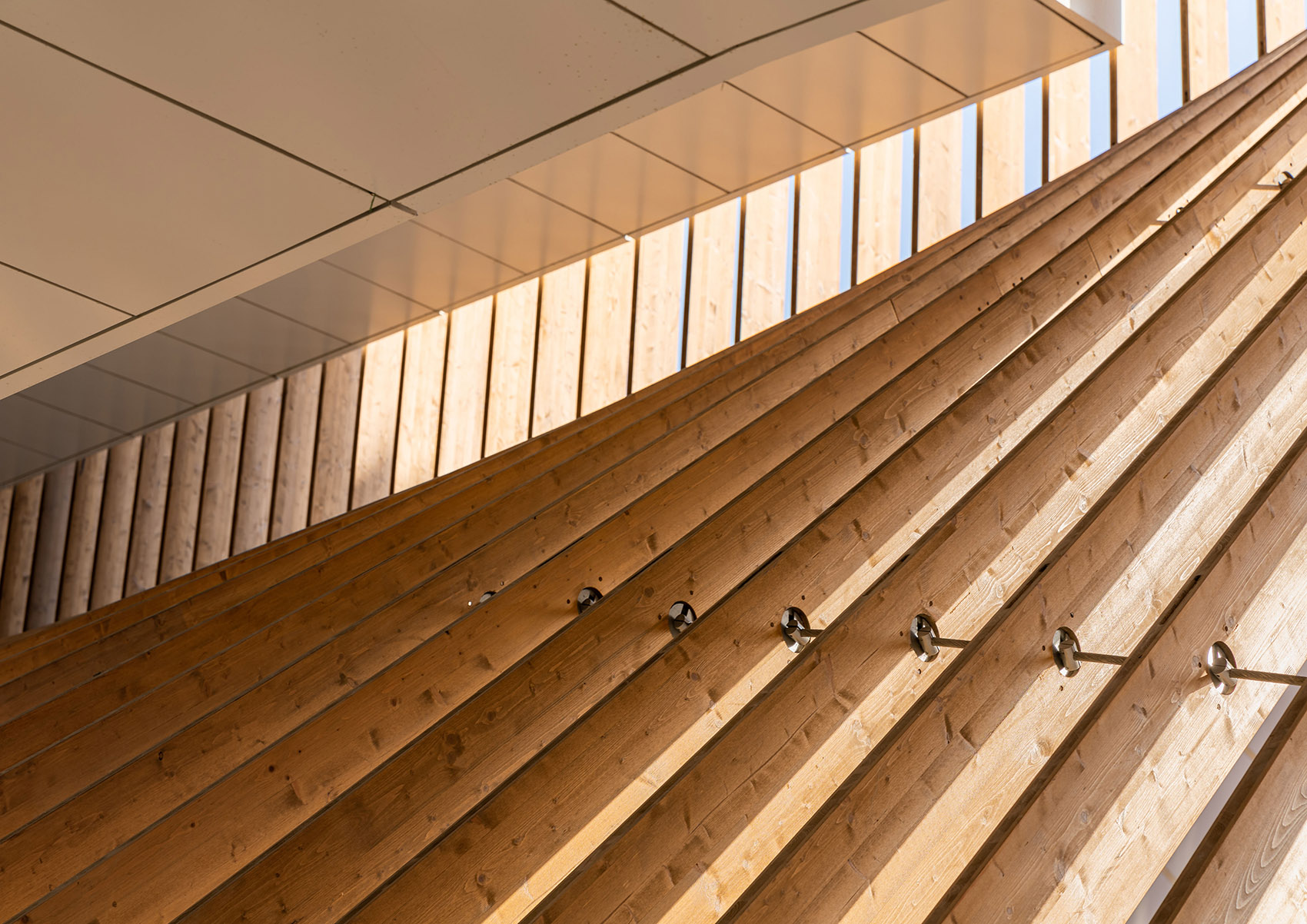 绿色拱门&2020迪拜世博会比利时馆丨阿联酋迪拜-148