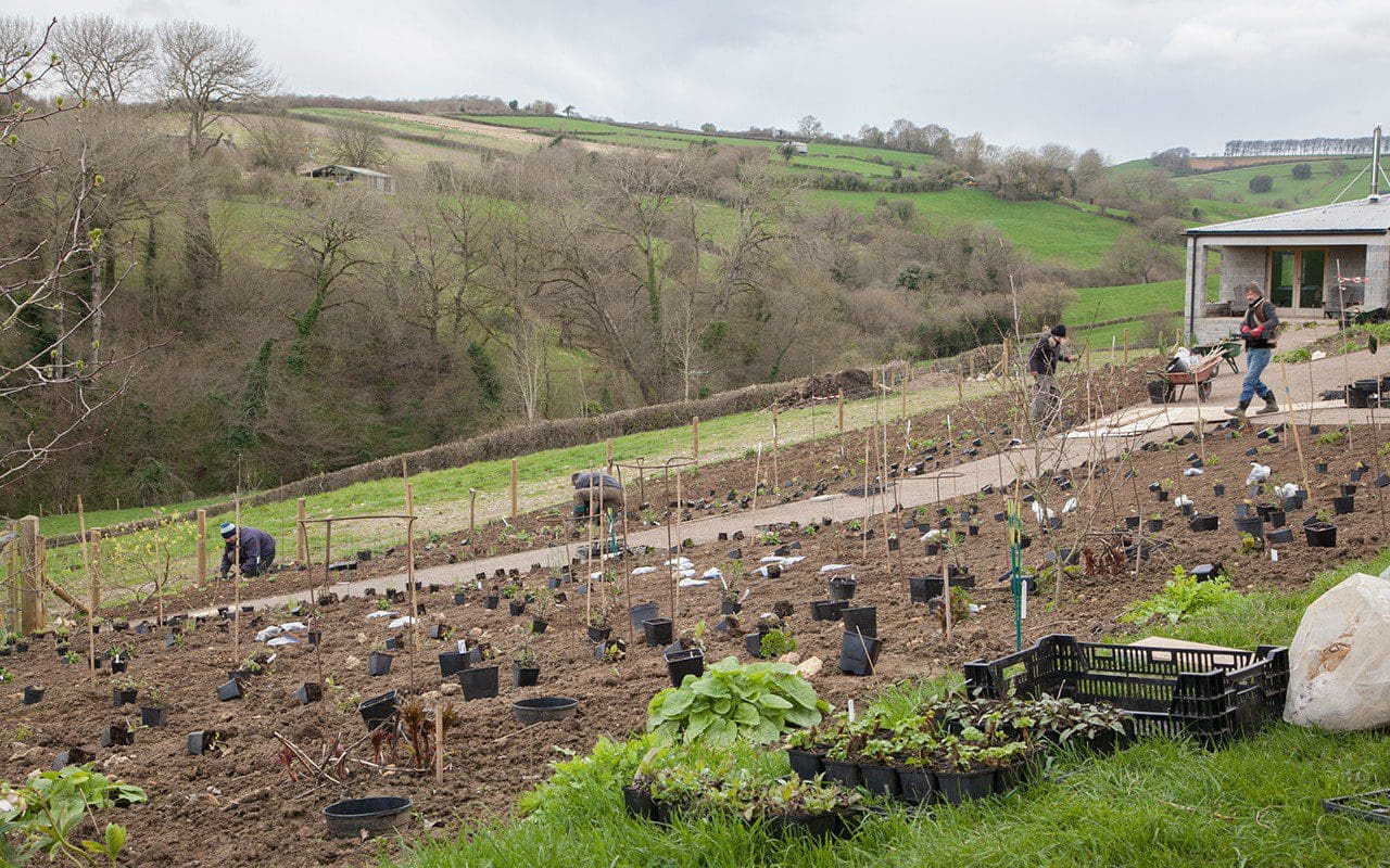 新花园种植项目丨Dan Pearson-1