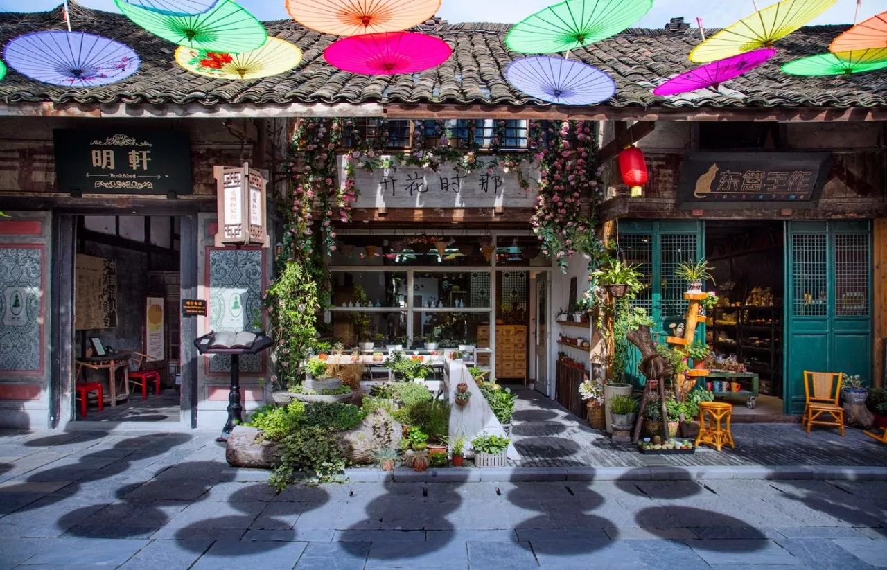 住在古镇最深处  遇见故乡风河的美-1