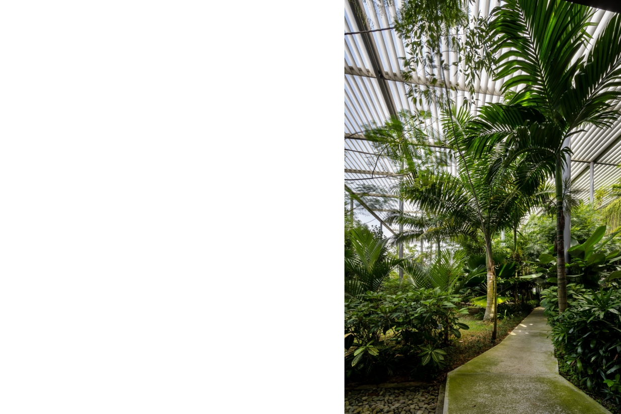 槟城森林中的工厂丨马来西亚槟城-6