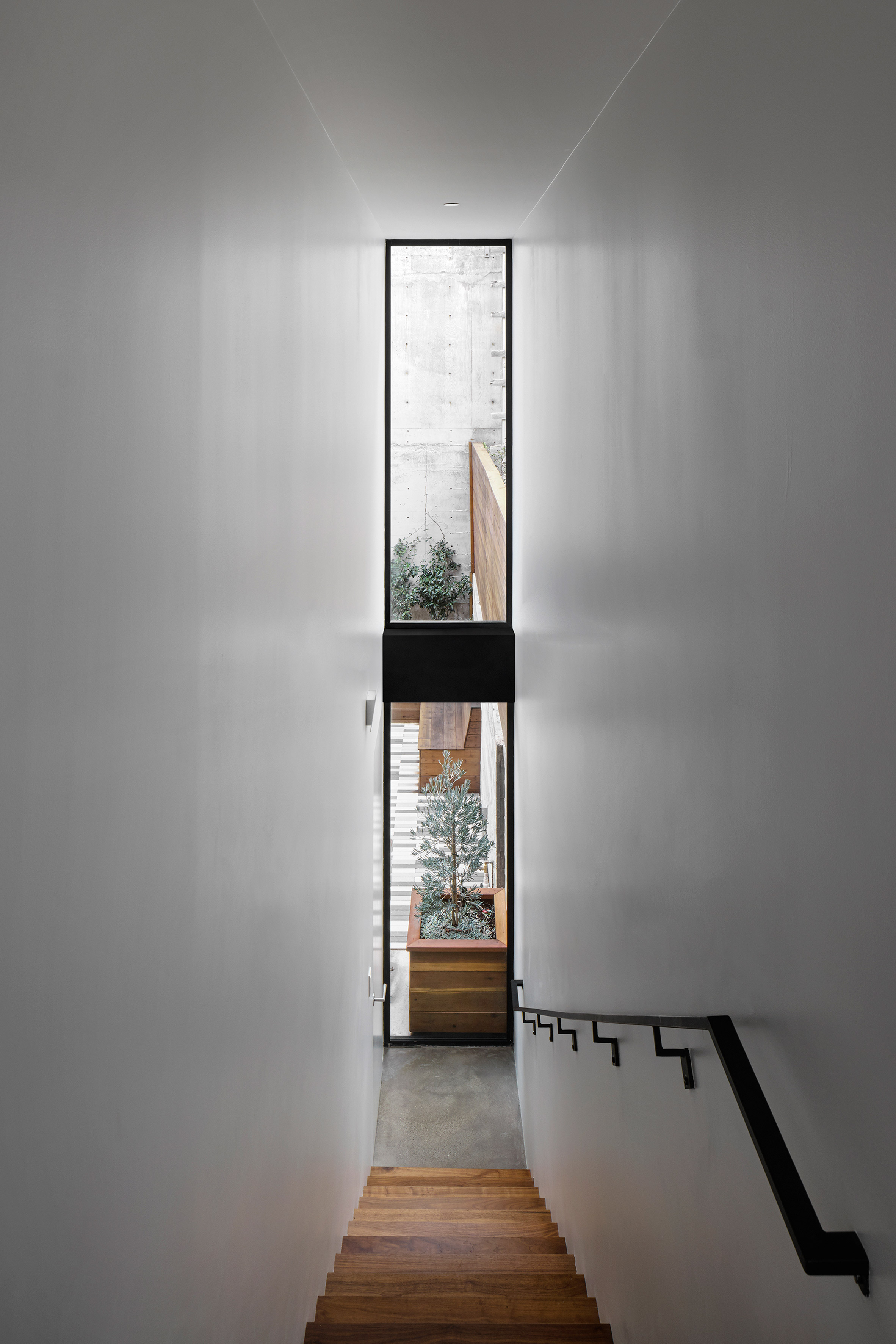 旧金山现代风格镇屋,玻璃与木质的和谐交融-10