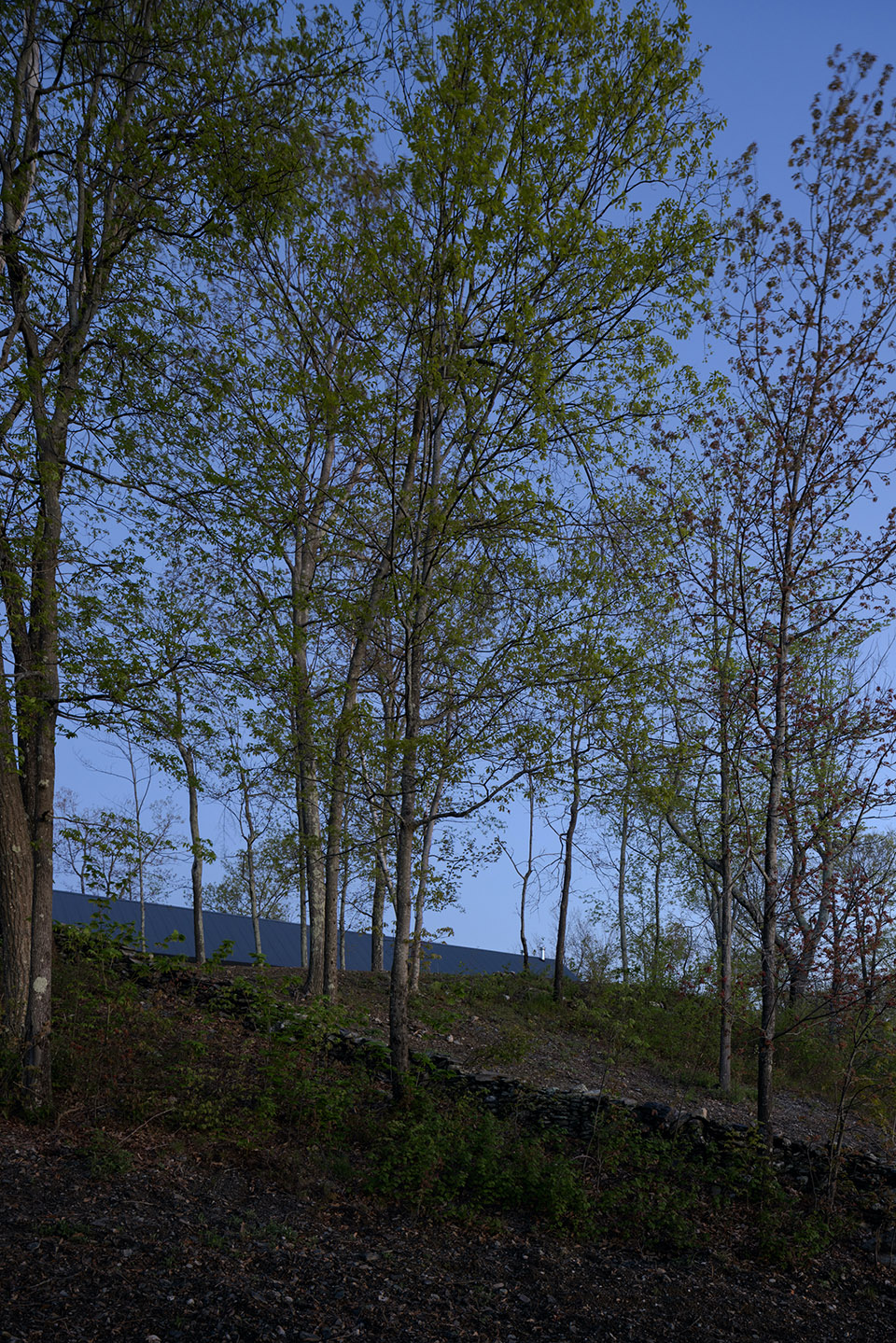 山脊之屋丨哥伦比亚-132