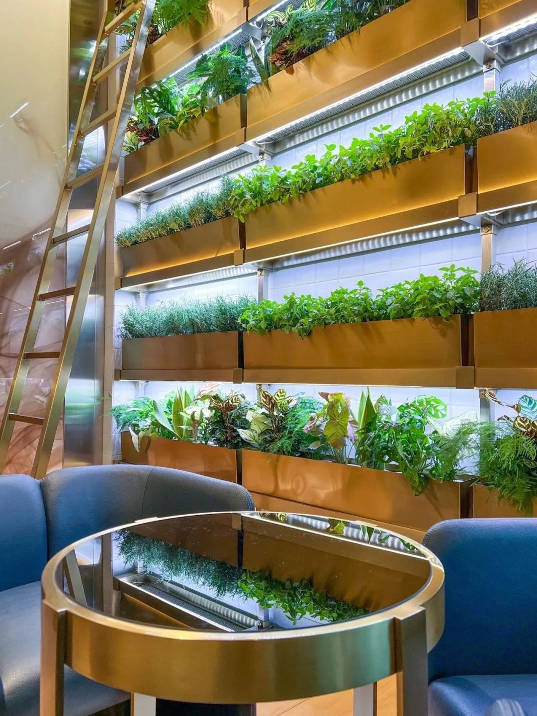 澳门新濠影汇W酒店丨中国澳门丨扎哈事务所-40