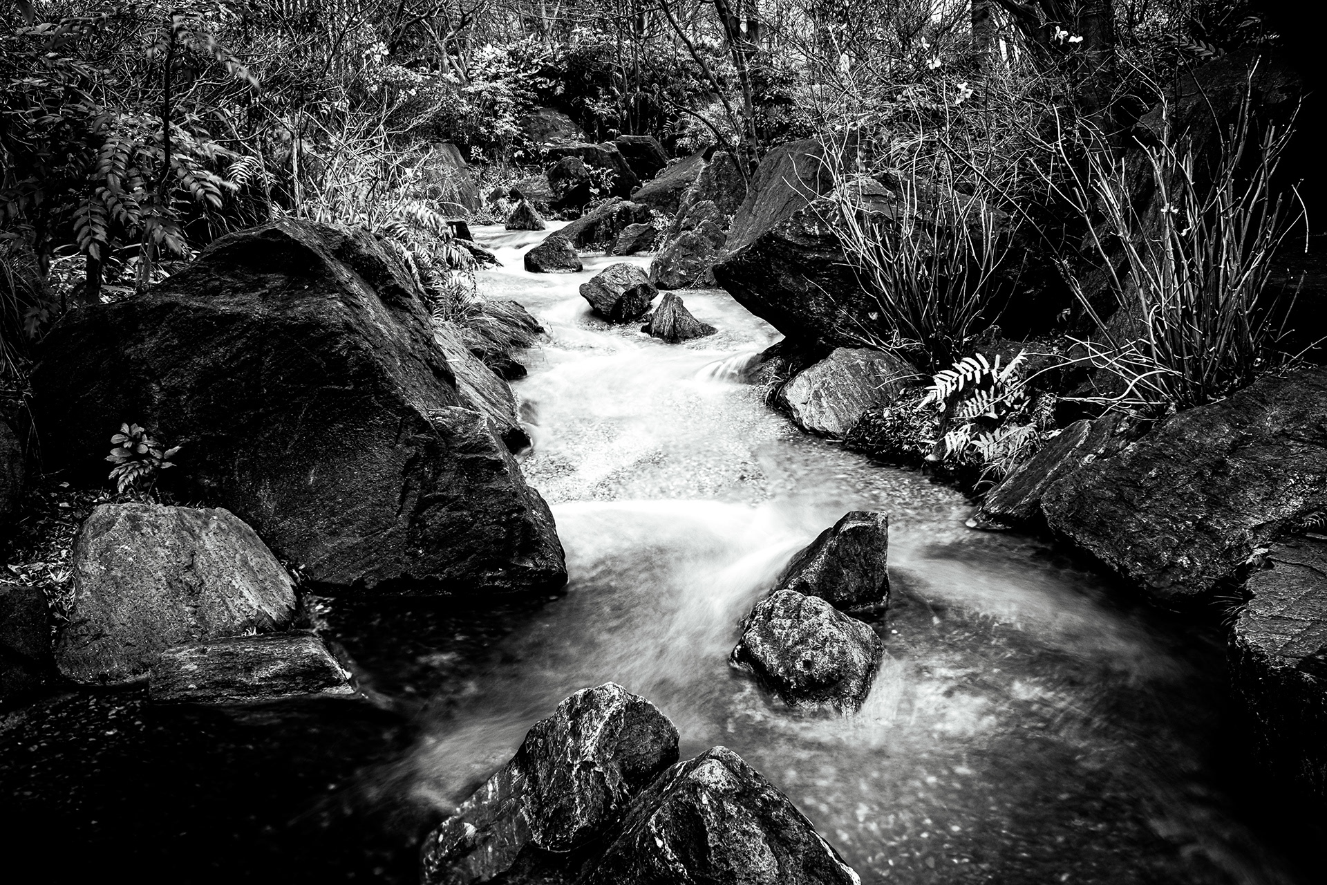 单色东京丨日本东京丨Armend Bajraktari-5