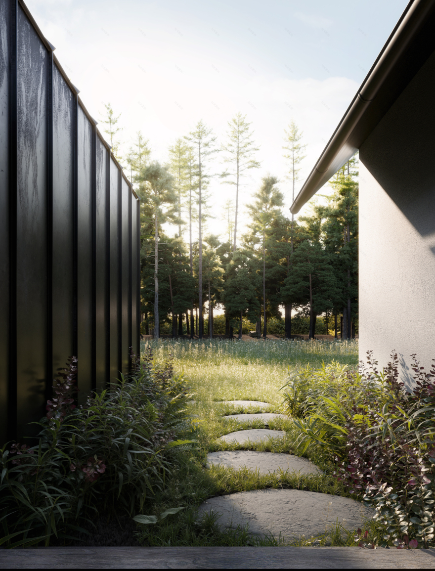 Borova现代乡村住宅可视化项目丨捷克-10