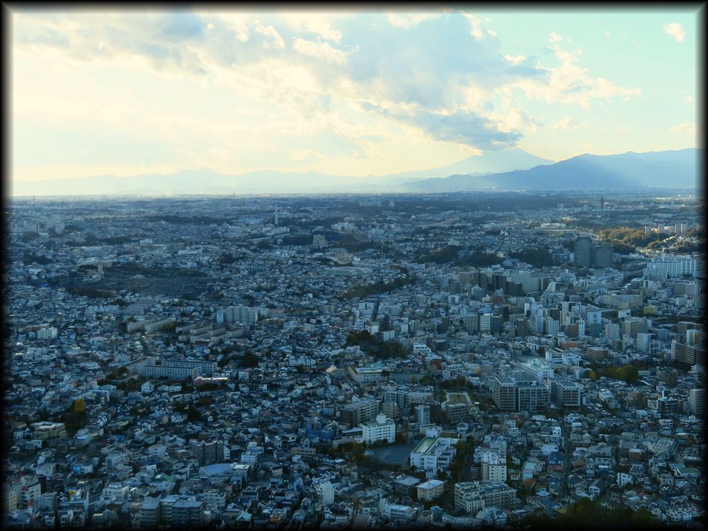 横浜「開光庵」茶室-31