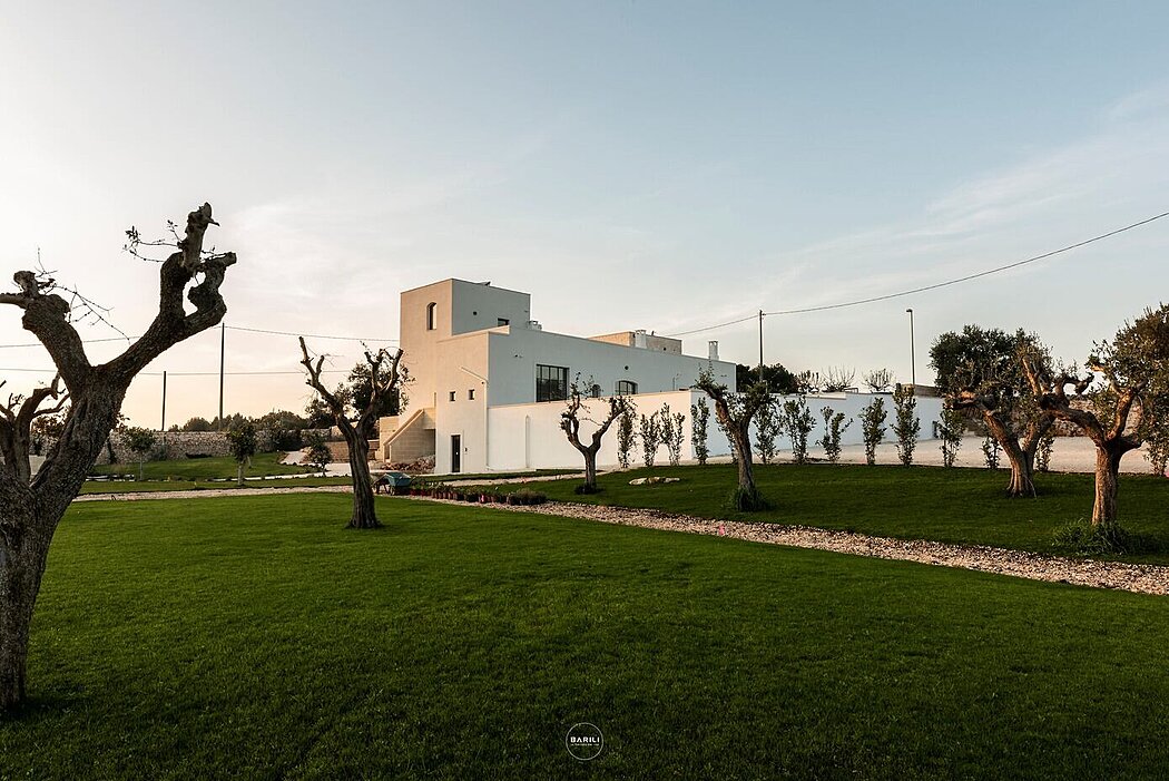 White Vineyards（白葡萄园）丨意大利丨M+T Architetti Montalbò | Tanese-11