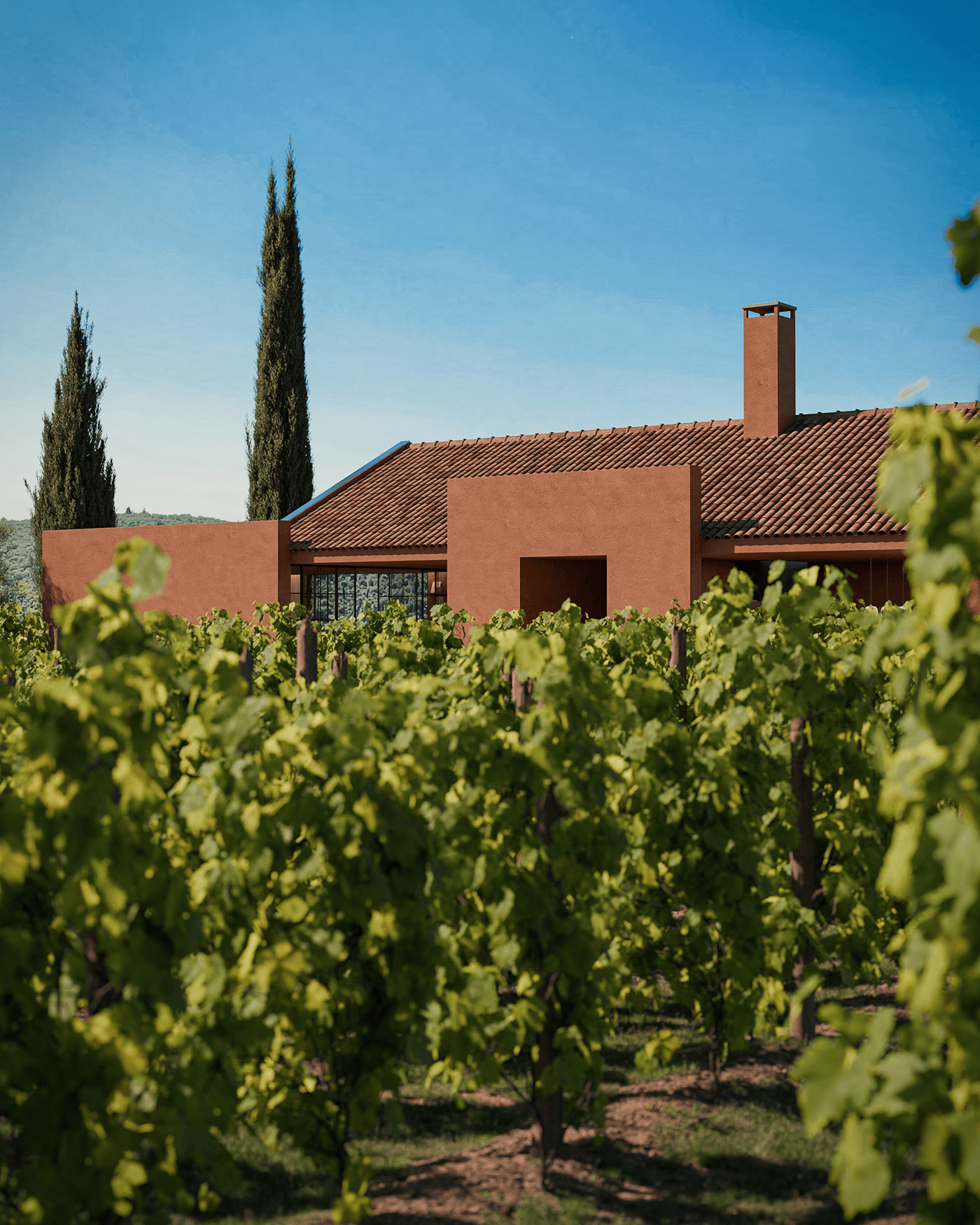 乡村葡萄园别墅丨西班牙丨LOBO STUDIO-0