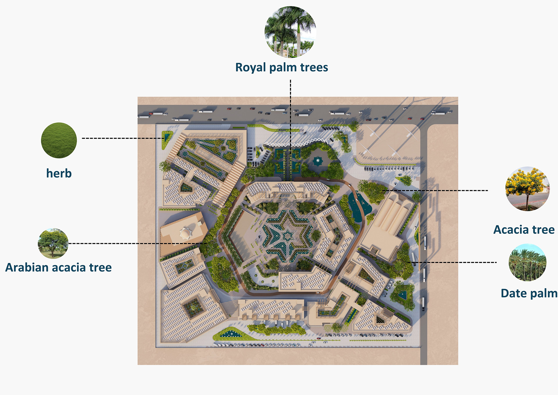 Kinaz村项目丨Hossam salama-43