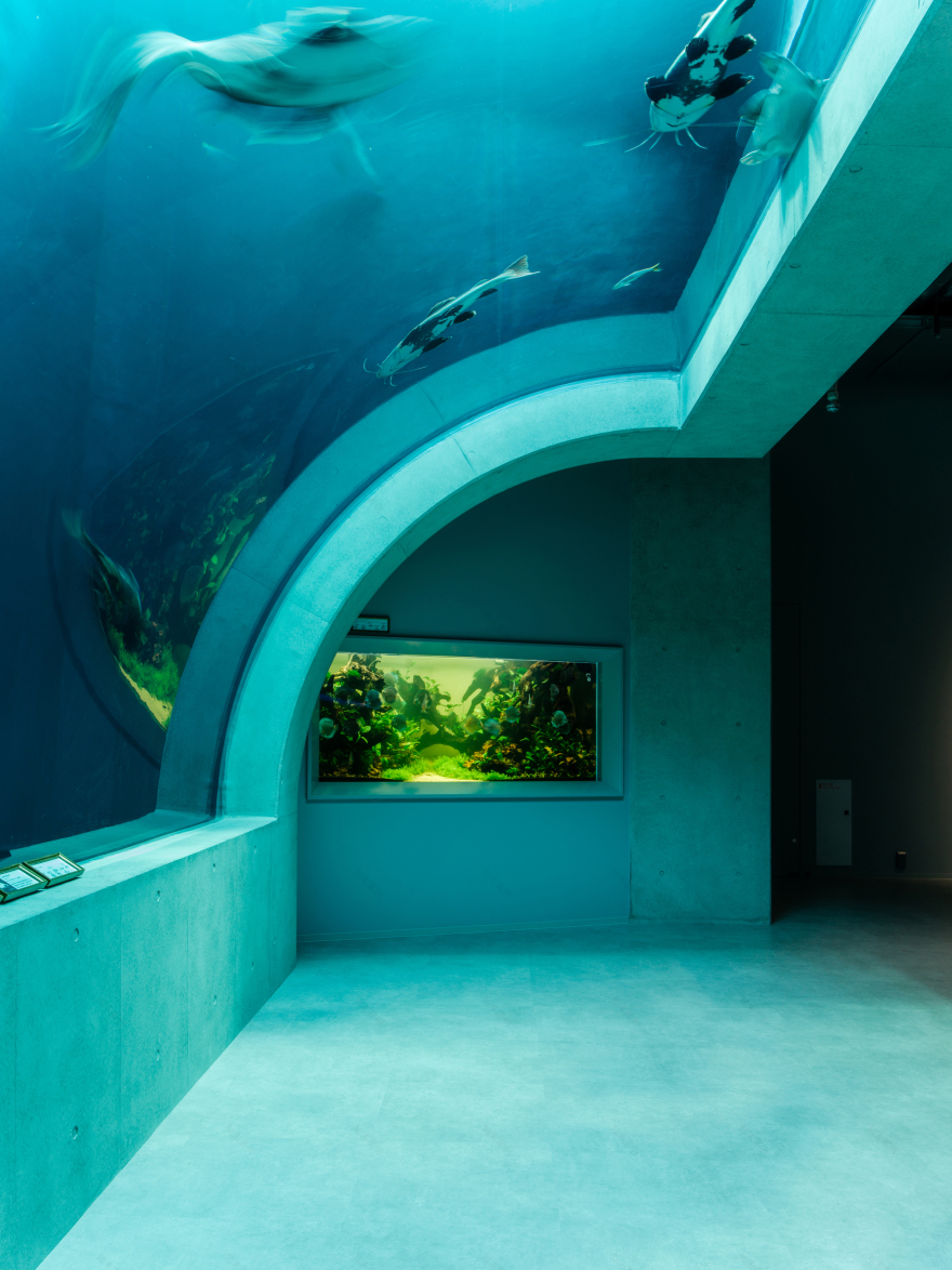 神户港博物馆丨日本-12