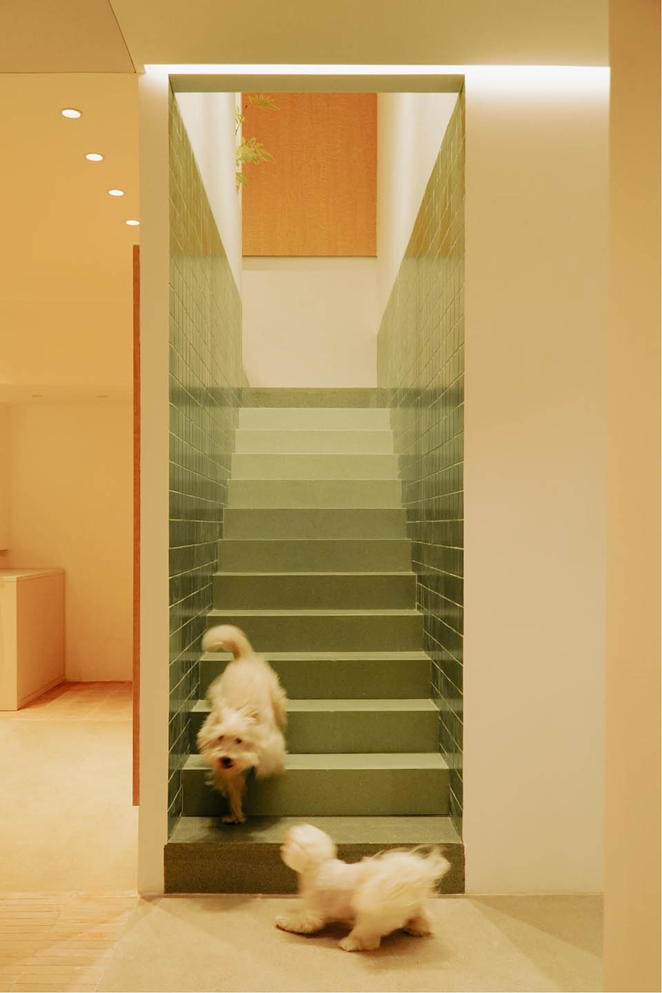 自由之丘丨中国武汉丨EAF Studio-63