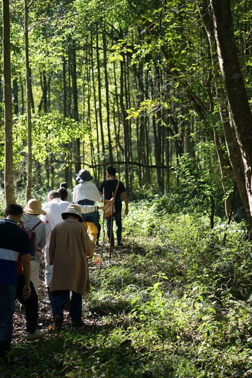 回声花园 · IT 夫妇的乡野生活丨中国黄山丨红子,小可夫妇-85