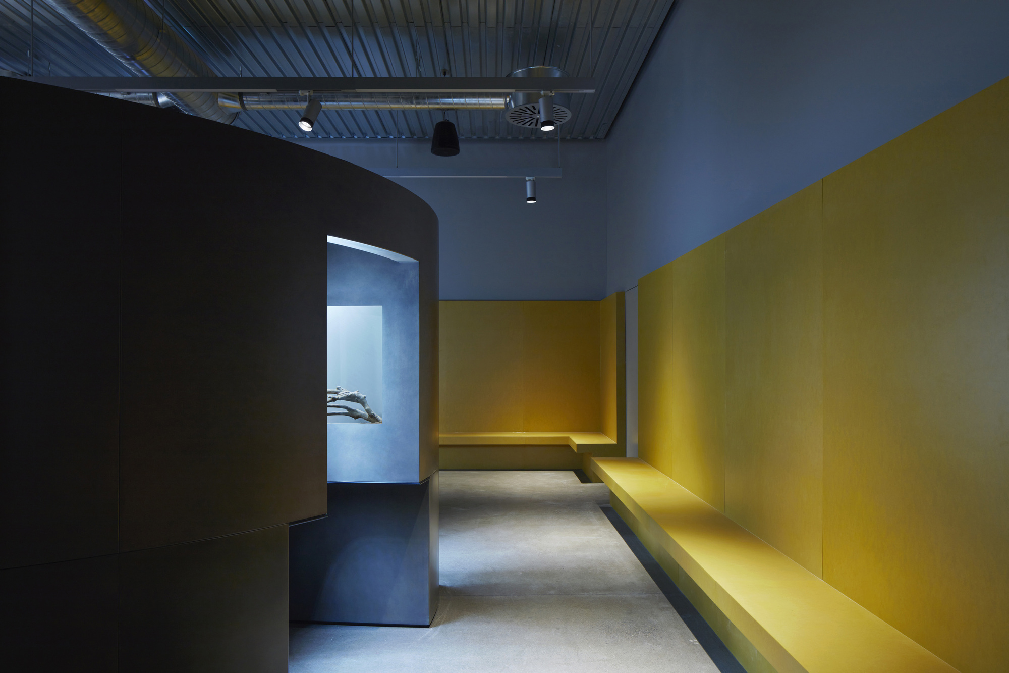 蒙特利尔昆虫馆丨加拿大蒙特利尔-24