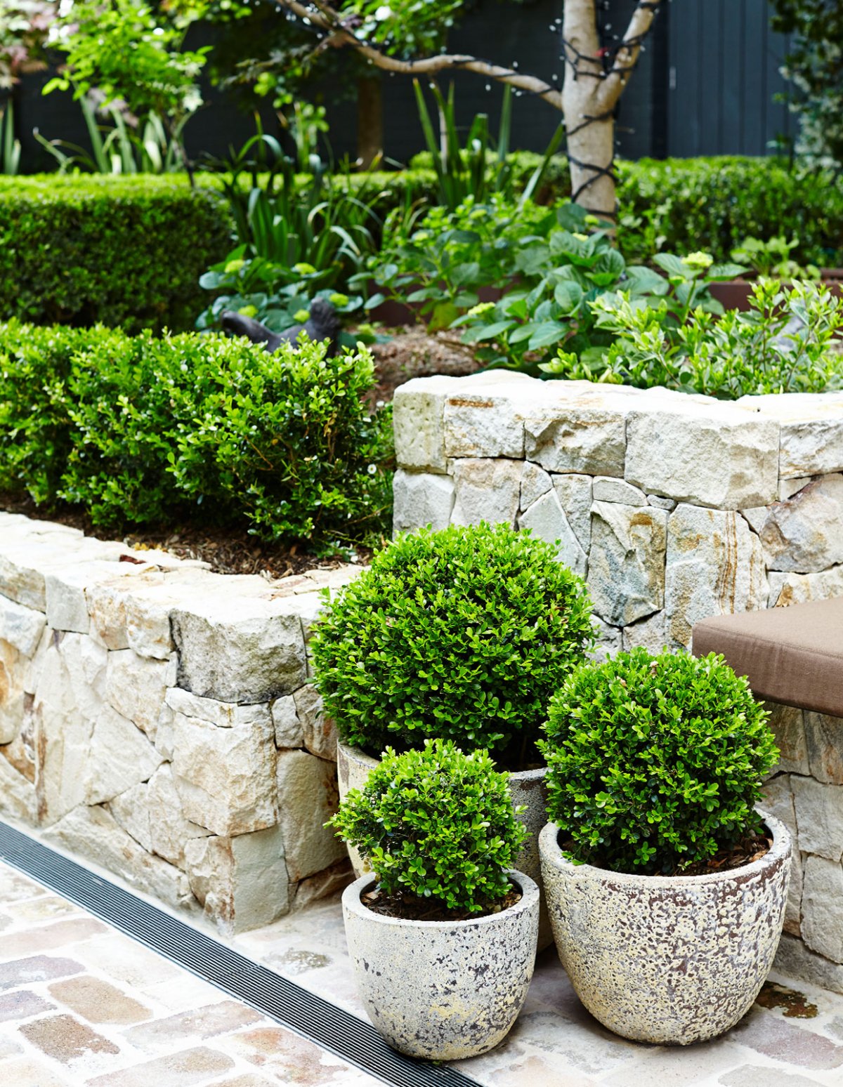 悉尼原生态花园住宅，户外设计典范-15