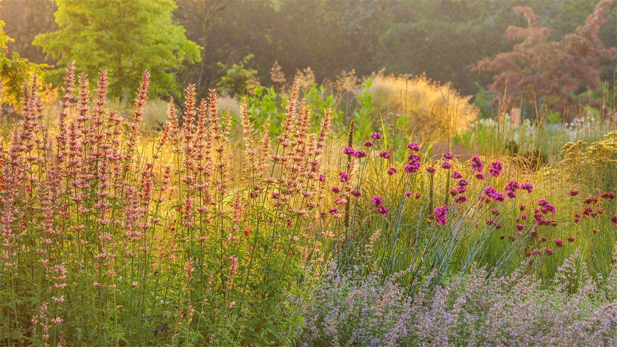 泪珠公园丨美国曼哈顿-97