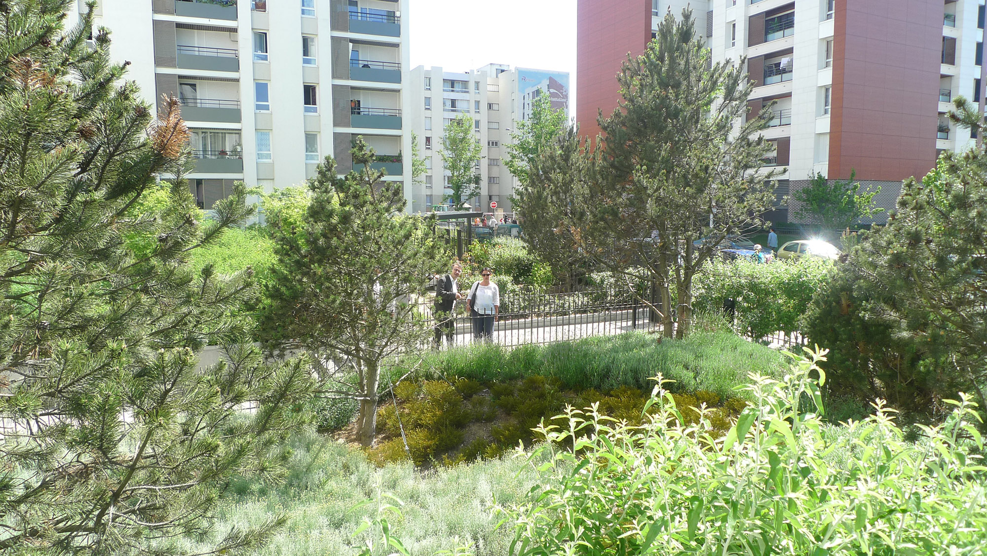 Quartier Zéphyr - La Compagnie du Paysage-32