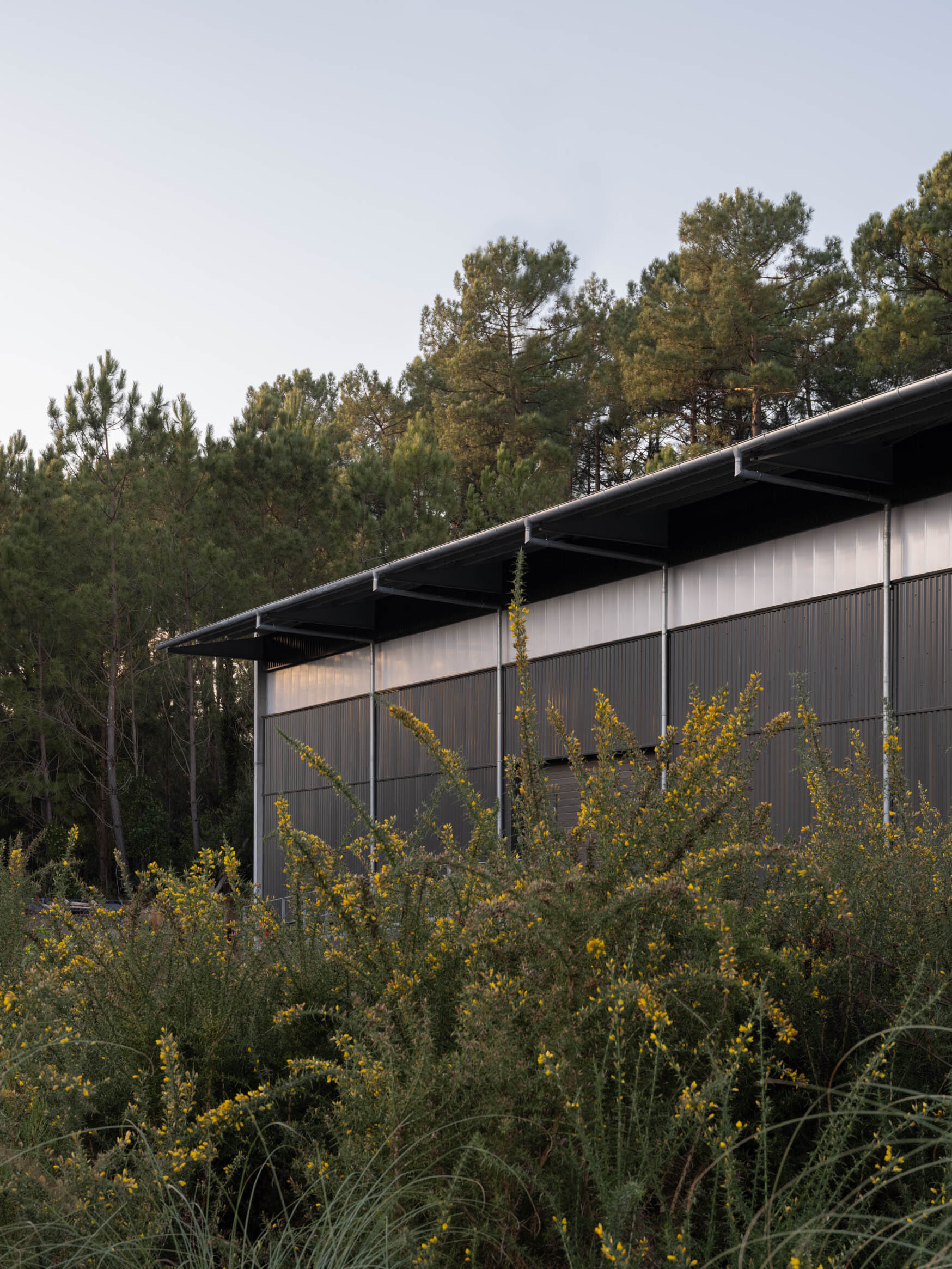 扬声器装配厂丨France丨formalocal-44