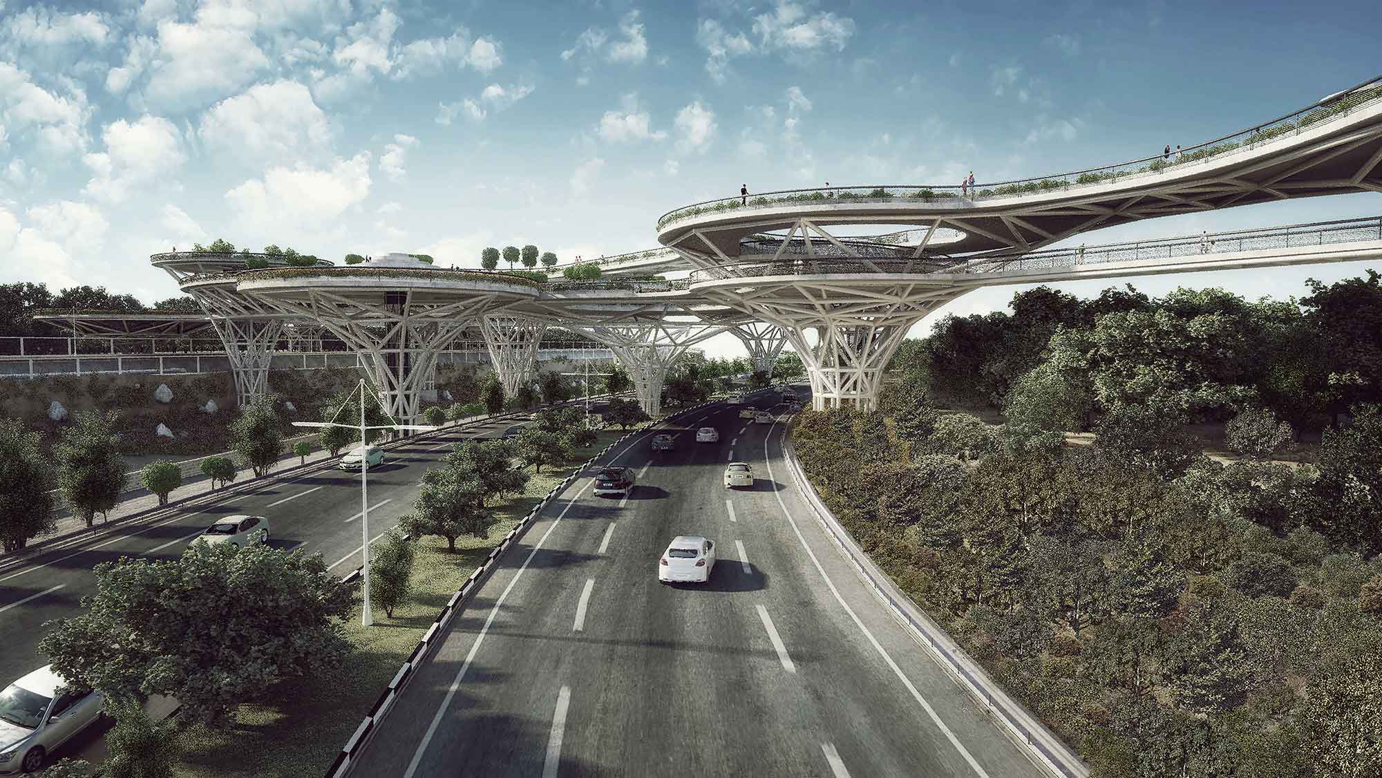 生命之桥丨伊朗-25