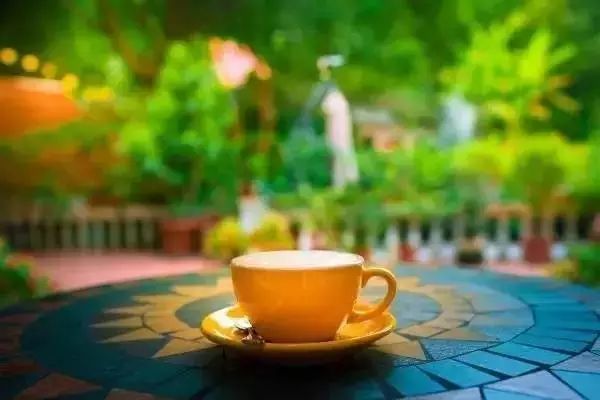 文艺大叔租下8亩林场，花16年种花养草，如今惊艳世人，连美国杂志都给他点赞-181