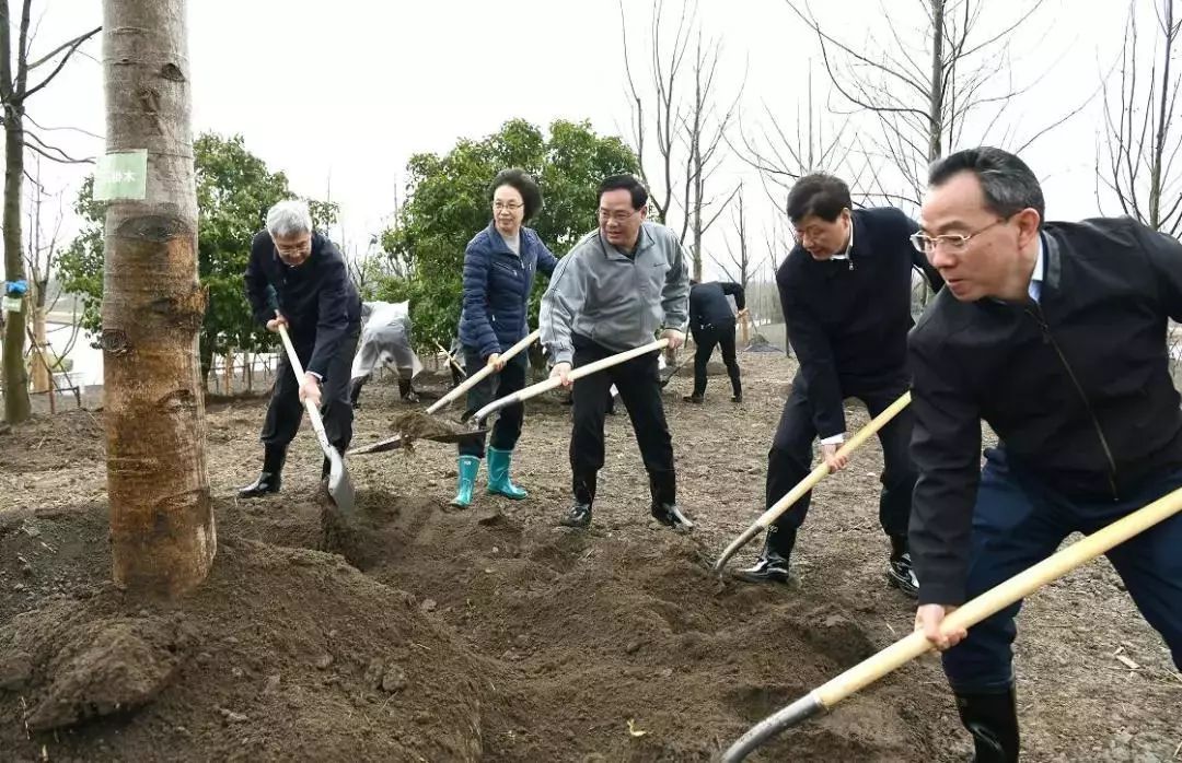 上海森兰绿地 | 城市绿肺的生态设计-18