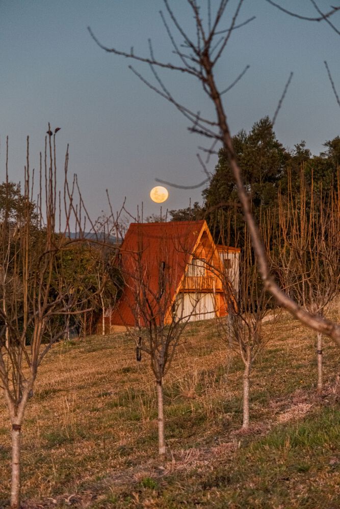 巴西 Pinto Bandeira 自然景观中的 La Pinta Chalets-36