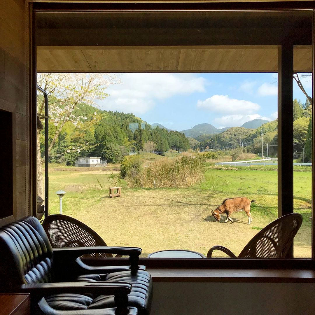 鹿儿岛乡间木屋丨日本鹿儿岛丨Kagae-31