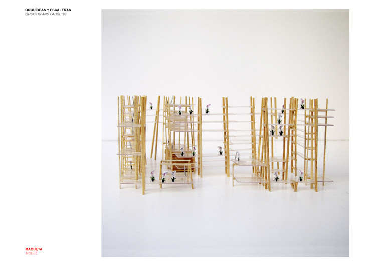 兰花梯子的奇幻空间-19