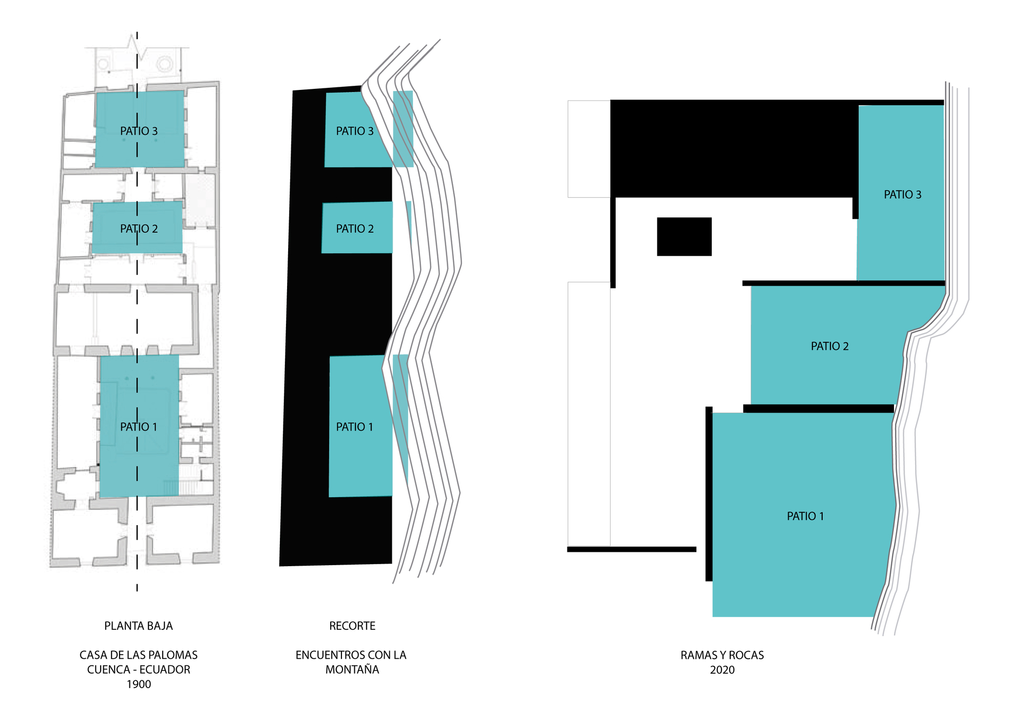 房子分支和岩石丨厄瓜多尔丨Ruptura Morlaca Arquitectura-39