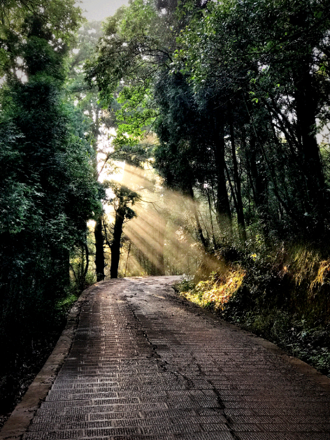 秀山寺环境整治设计-12