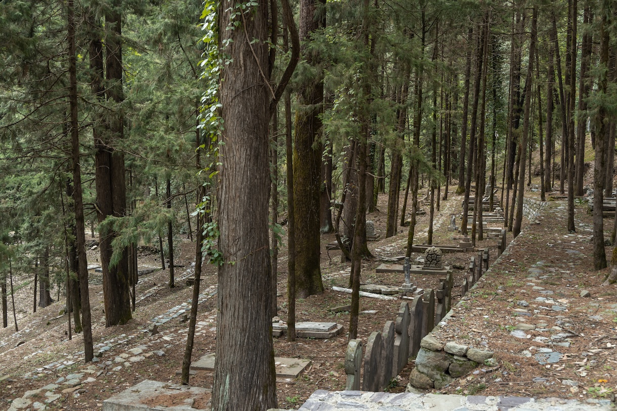 一座松树林中的公共纪念公园（Sensorium Park）丨印度丨Compartment S4-9