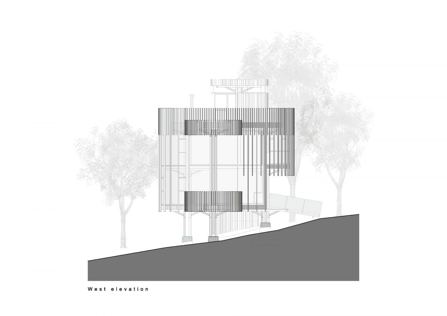 丨南非开普敦-36