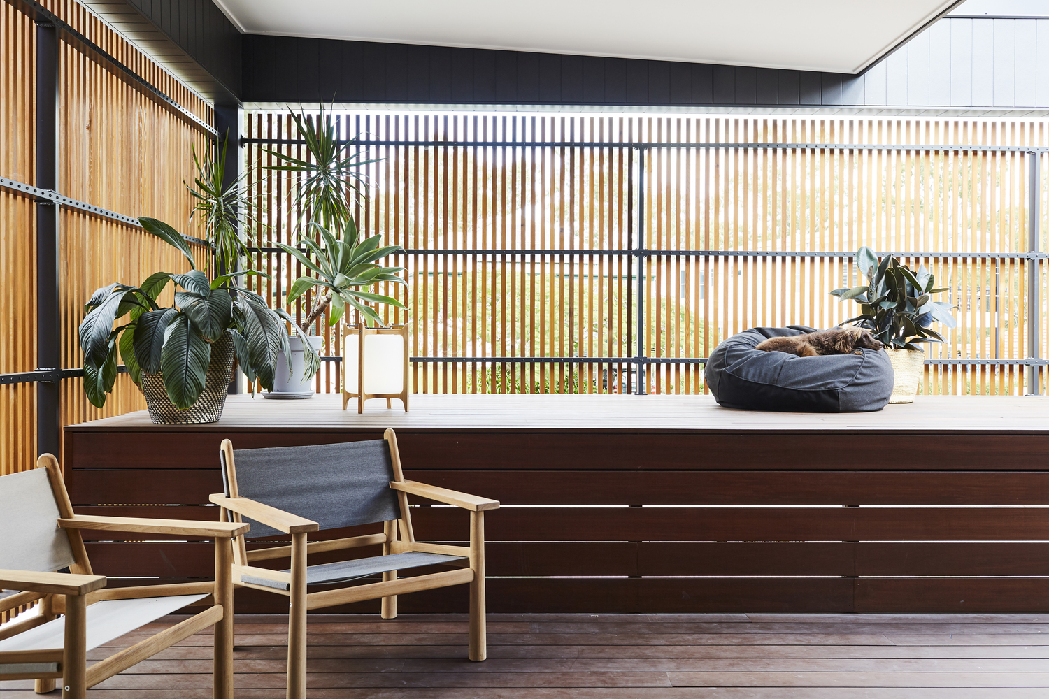 Coorparoo House | 城市与自然的和谐交融-22