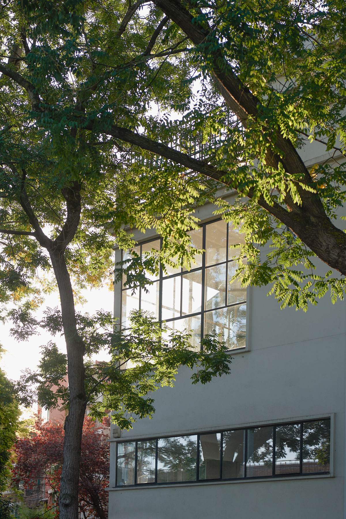 Genius Loci 沉浸式展览丨法国巴黎丨Benoît Maire-16