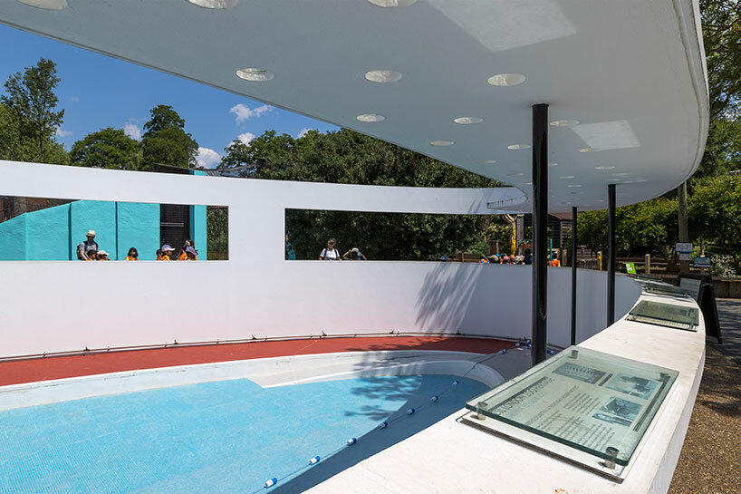 Lubetkin Penguin Pool，动物园企鹅馆丨英国丨Berthold Lubetkin-12