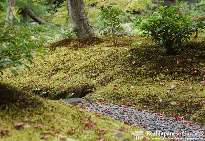 Murin  an（无邻菴）丨日本京都丨日本园艺大师小川治兵卫-7