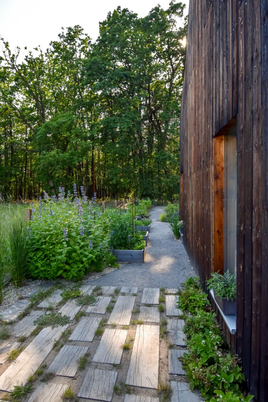 自然之境 · 现代乡村家庭花园-11