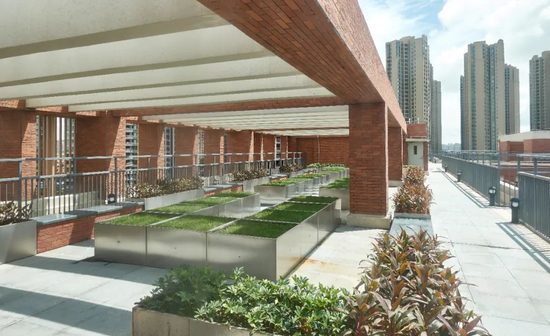 珠海容闳学校 | 生态文化书院的绿色教育空间-46