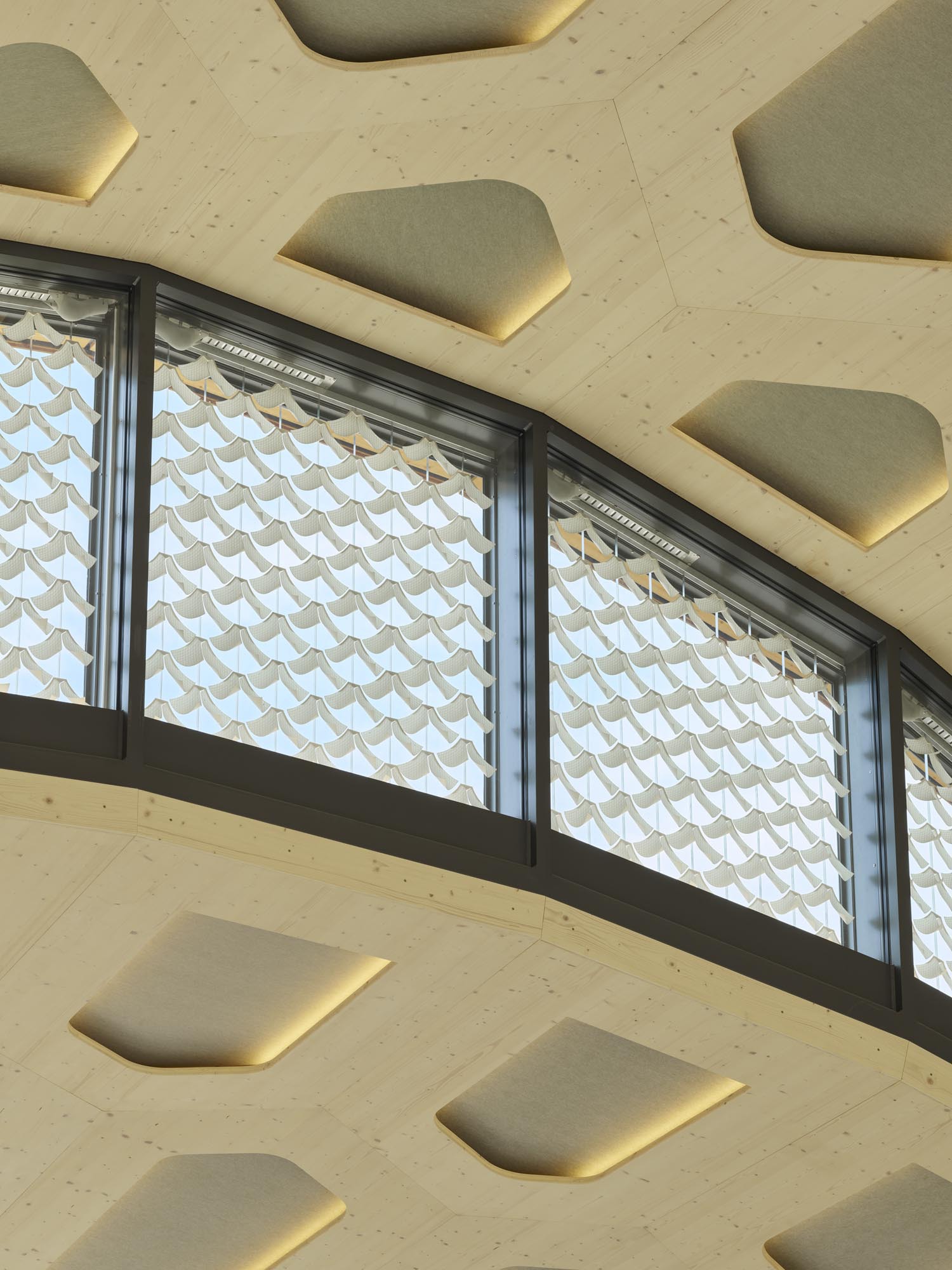 livMATS 仿生壳丨德国丨ICD,ITKE University of Stuttgart-29